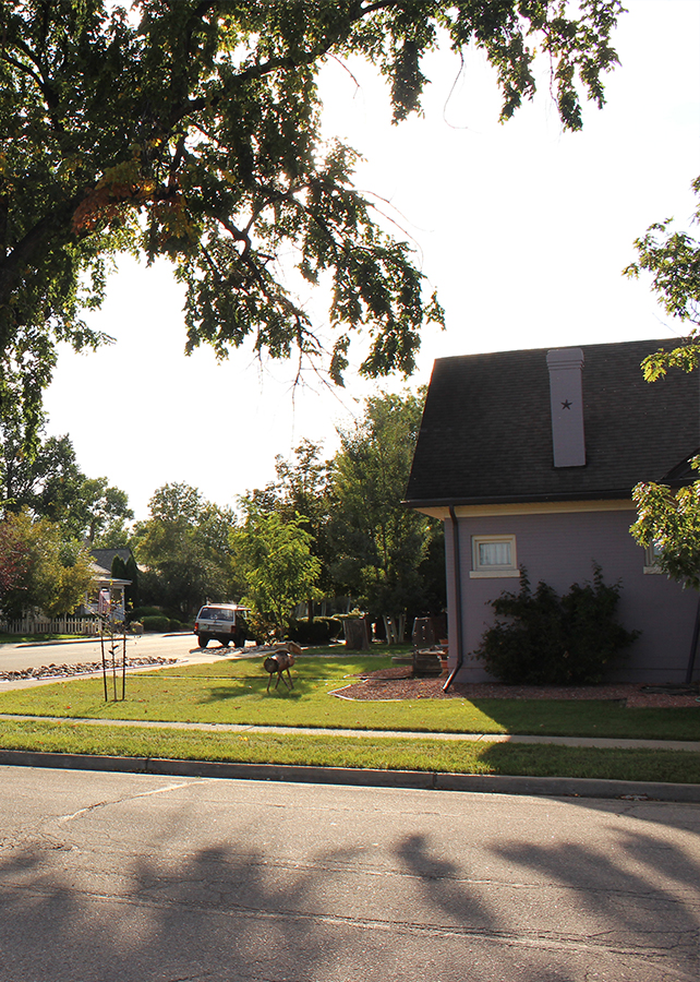 Arvada Siding Replacement - Image 1