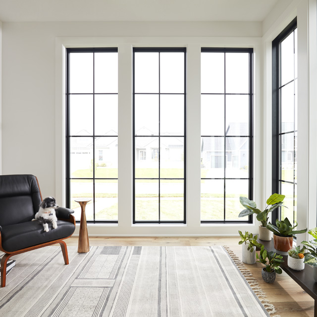 Direct Set Windows - Window Styles