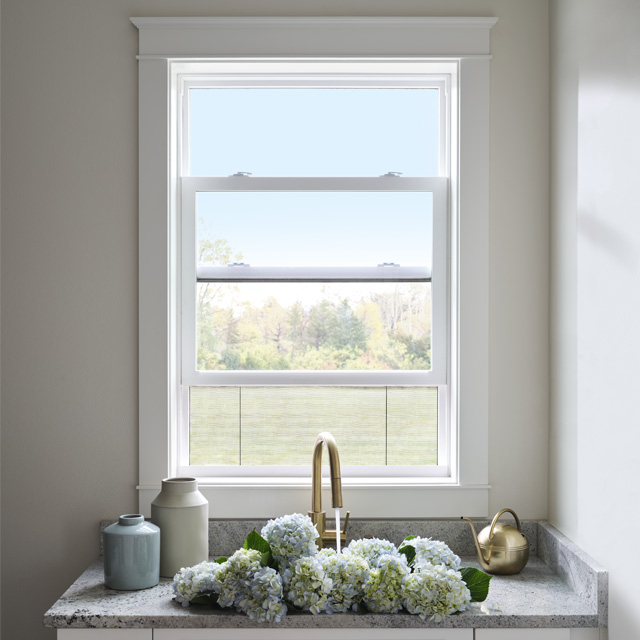 Single Hung Windows - Window Style